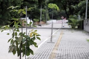 Cícero Lucena e Leo Bezerra priorizam Plano de Ação Climática, mais arborização urbana e recuperação de áreas degradadas