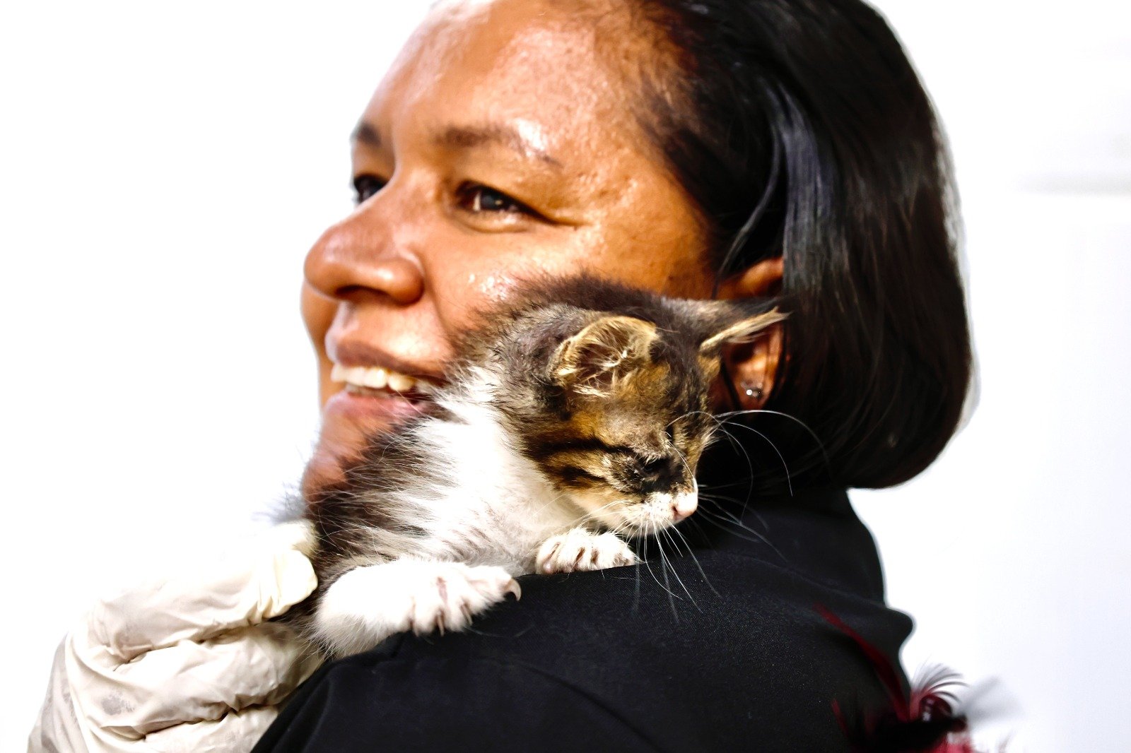 Veterinários do Centro de Zoonoses atuam com a consciência do cuidado integral de animais e humanos 17 veterinarios do centro de zoonoses atuam com a consciencia do cuidado integral de animais e humanos 4