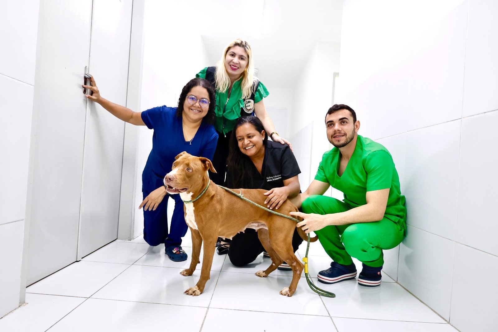 Veterinários do Centro de Zoonoses atuam com a consciência do cuidado integral de animais e humanos 18 veterinarios do centro de zoonoses atuam com a consciencia do cuidado integral de animais e humanos 5