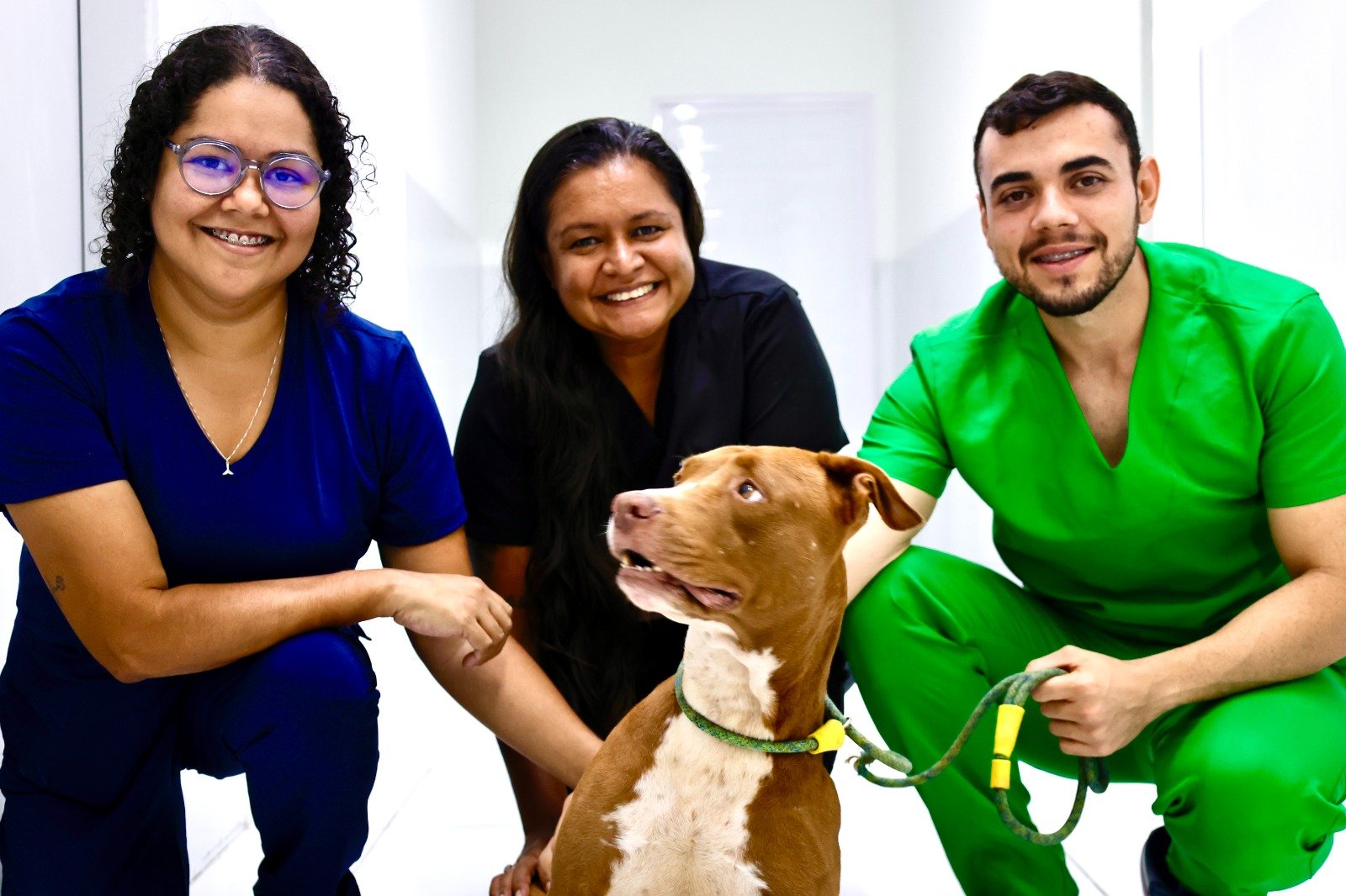 Veterinários do Centro de Zoonoses atuam com a consciência do cuidado integral de animais e humanos 13 veterinarios do centro de zoonoses atuam com a consciencia do cuidado integral de animais e humanos