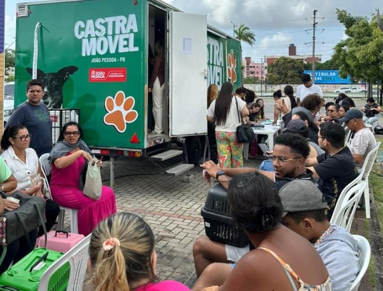 Prefeitura de João Pessoa oferta castrações para gatos machos durante ‘Caravana contra maus-tratos’