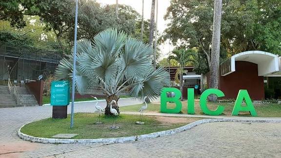 Prefeitura de João Pessoa emite nota esclarecendo a ocorrência no parque Arruda Câmara (bica)