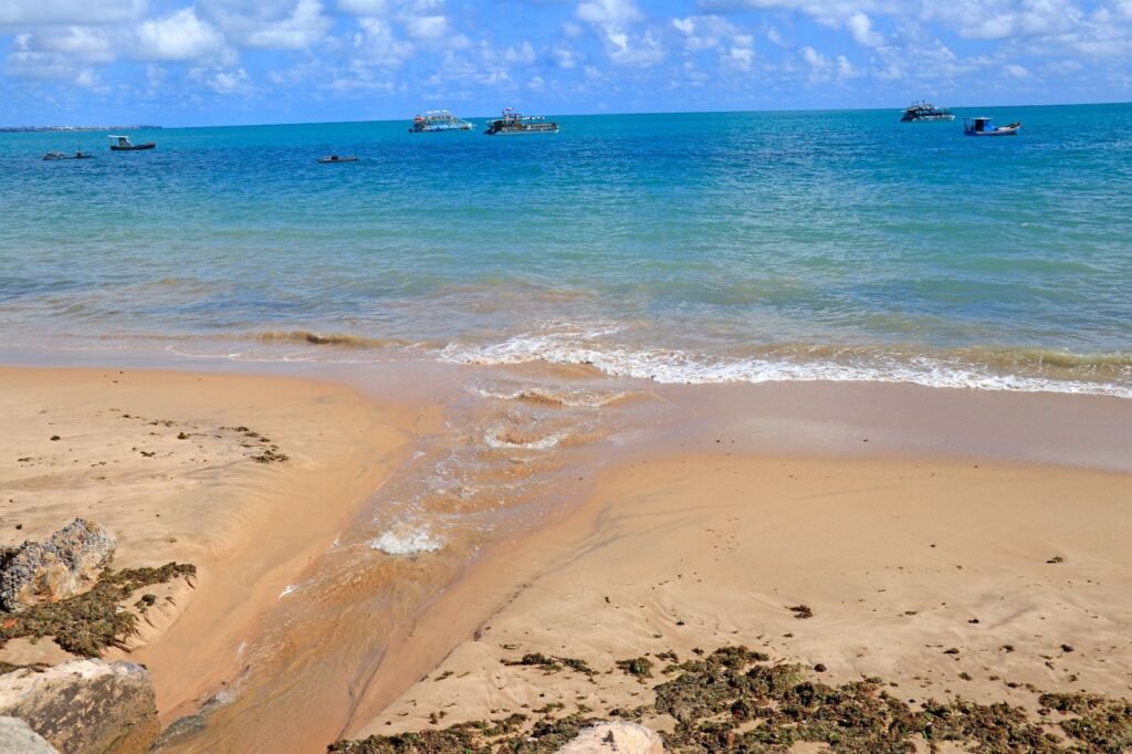 prefeitura de joao pessoa intensifica fiscalizacao para coibir irregularidades em galerias pluviais e esgotos