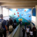 IBGE alerta para quadro preocupante na saúde mental de adolescentes