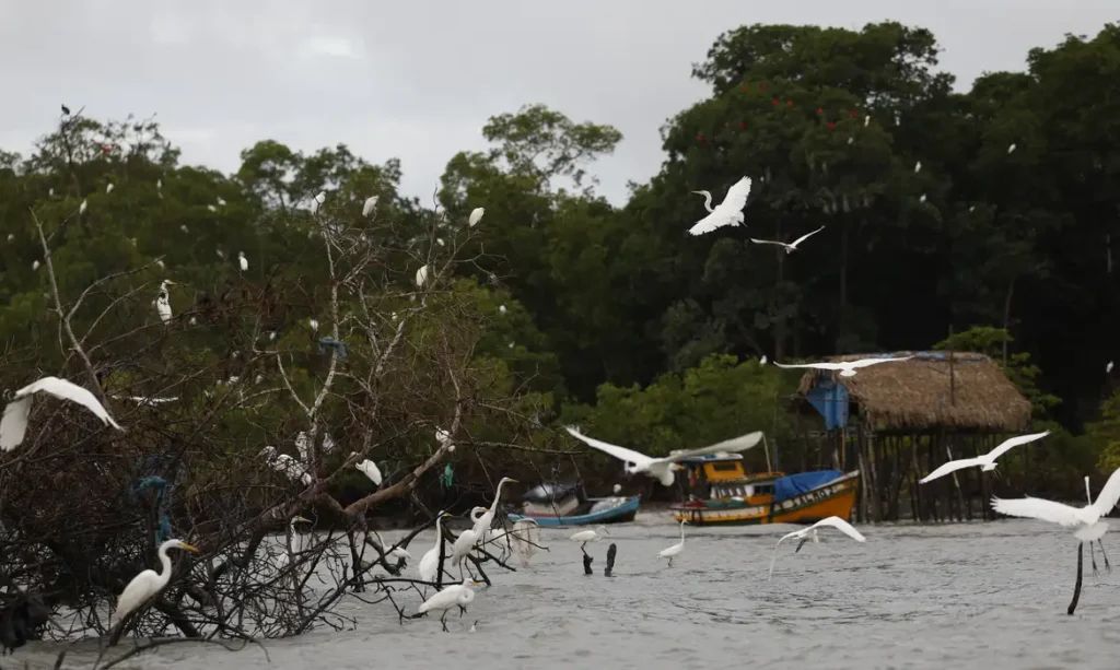 amazonia soberana programa vai combater crimes em areas de fronteira