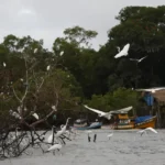 Amazônia Soberana: programa vai combater crimes em áreas de fronteira