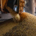 Economia brasileira cresce 1,1% no 1º trimestre