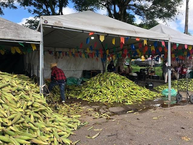 feira do milho da empasa tem previsao de comercializar mais de 400 toneladas