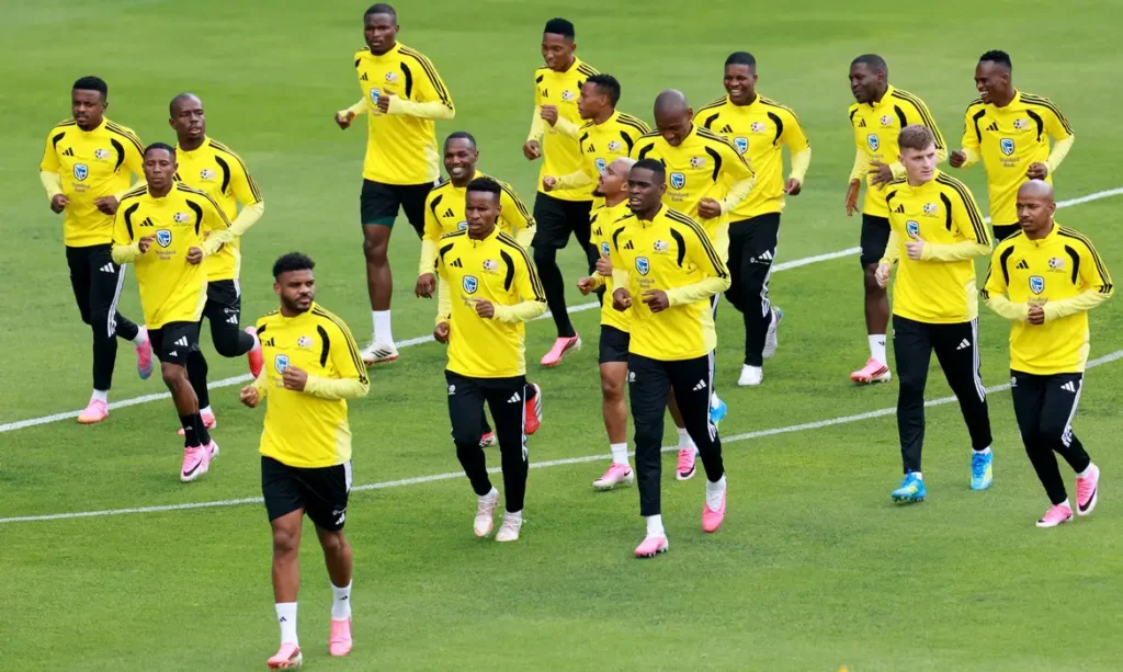 semelhancas entre brasil e africa do sul vao alem do verde e amarelo