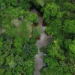 Área queimada no Brasil fica 31% abaixo da média histórica em 2025