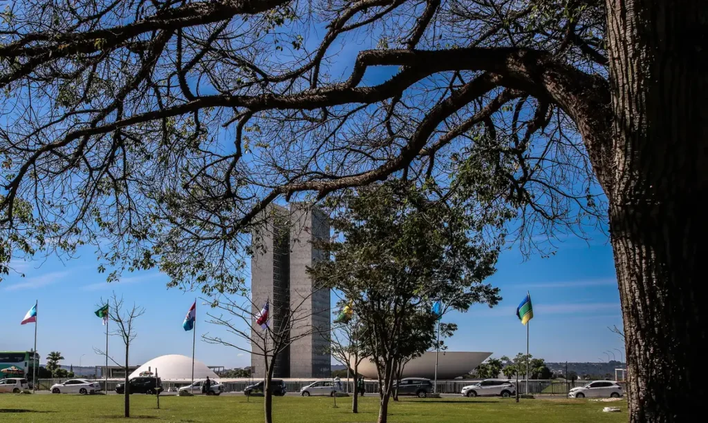Congresso aumenta punição a crimes sexuais online contra crianças 9 congresso aumenta punicao a crimes sexuais online contra criancas