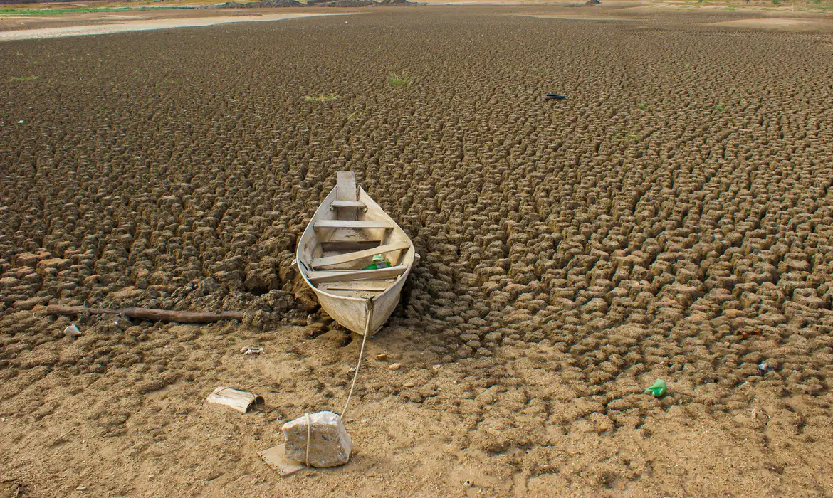 Brasil promete restaurar 163 mil km² de terras degradadas até 2030