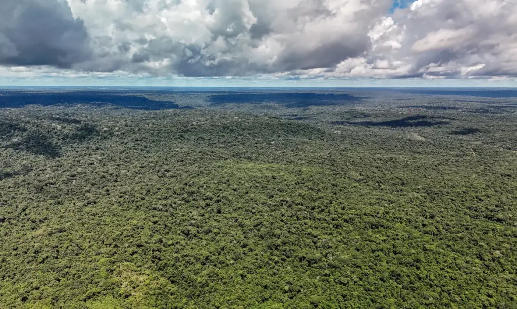 Fazenda autoriza crédito de US$ 1 bilhão do BID para Eco Invest Brasil 13 fazenda autoriza credito de us 1 bilhao do bid para eco invest brasil