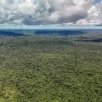 Fazenda autoriza crédito de US$ 1 bilhão do BID para Eco Invest Brasil