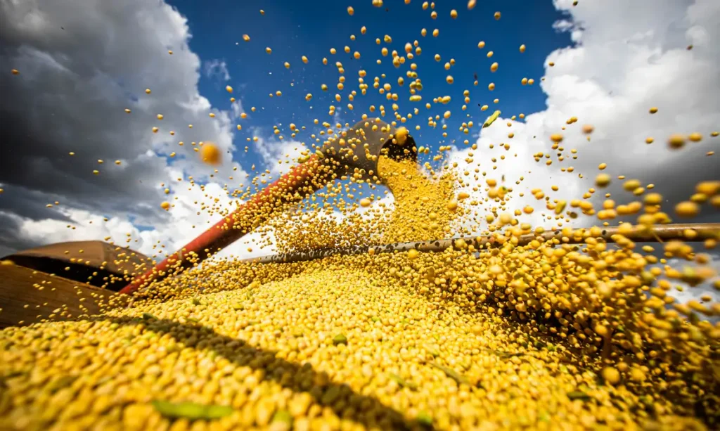 Produção agrícola brasileira superou R$ 927 bilhões em 2025 29 producao agricola brasileira superou r 927 bilhoes em 2025