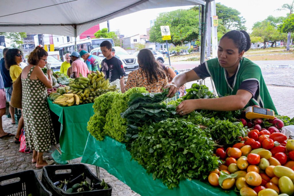 Feira da Agricultura Familiar acontece nesta sexta-feira na Praça da Rotam, em Manaíra 43 feira da agricultura familiar acontece nesta sexta feira na praca da rotam em manaira