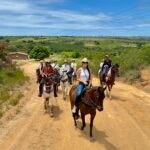 Litoral Sul da Paraíba ganha nova experiência de turismo com passeios a cavalo na praia
