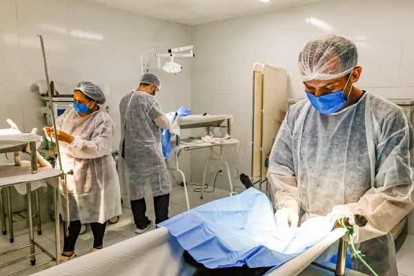 Prefeitura de João Pessoa abre inscrições para o projeto ‘Sábados de Proteção Animal’ do mês de outubro